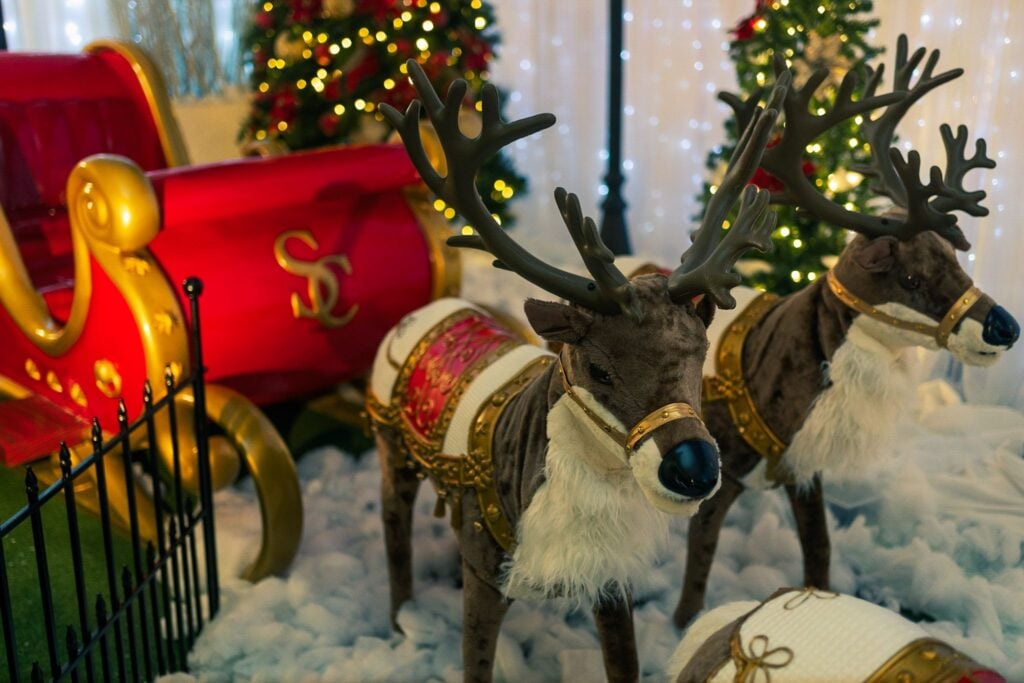 Reindeer pulling Santa's red sleigh through the snow at ChristmasLand
