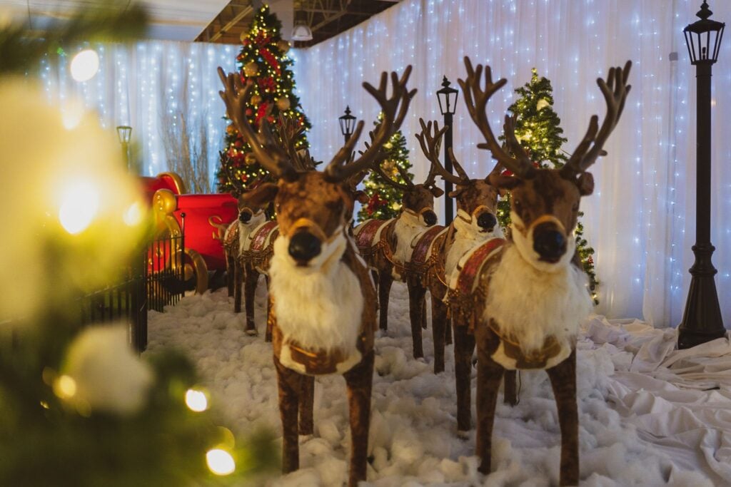 Santa's reindeer team lined up under twinkle lights at ChristmasLand